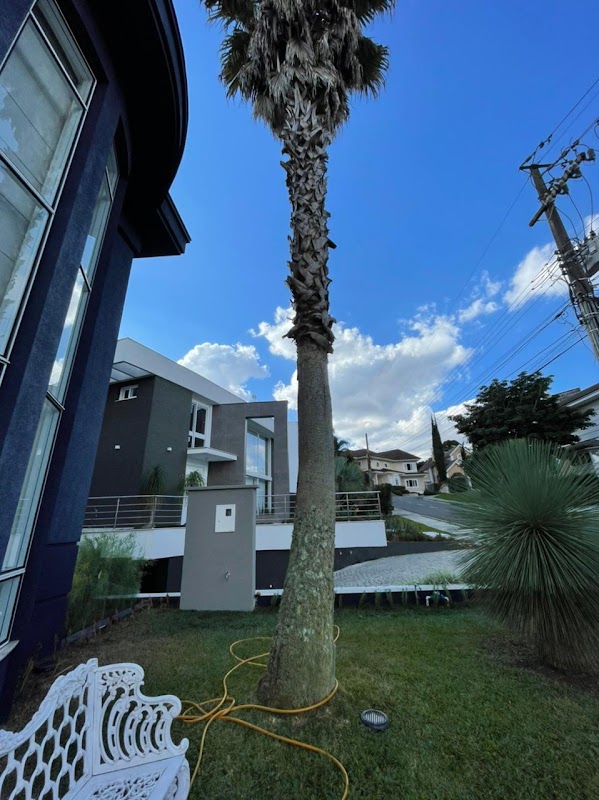 AS - Roçada de Terrenos Corte e Poda de Árvores - Jardinagem e Paisagismo em Centro, Curitiba/PR - Foto 4