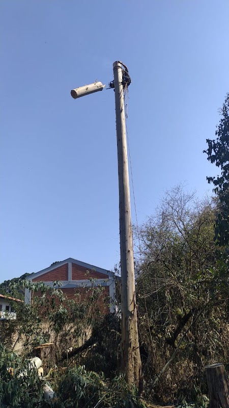 Foto 6 de AS - Roçada de Terrenos Corte e Poda de Árvores