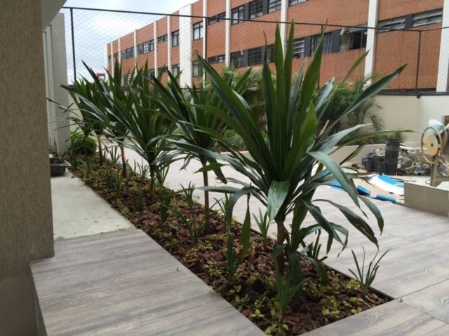 Ecológica Comércio de Plantas e Paisagismo - Jardinagem e Paisagismo em Centro, Curitiba/PR - Foto 2