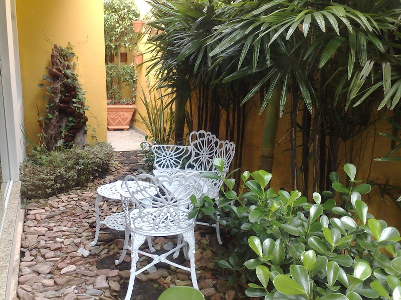 Foto 6 de Ecológica Comércio de Plantas e Paisagismo