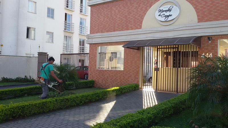 Ideal Jardinagem - Jardinagem e Paisagismo em Mercês, Curitiba/PR - Foto 3