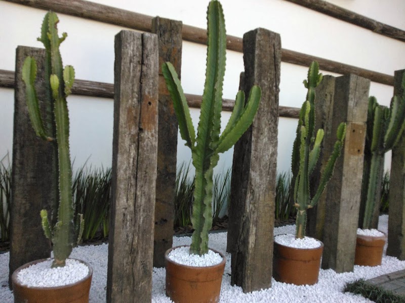 Florestal Jardinagem e Paisagismo - Jardinagem e Paisagismo em Pilarzinho, Curitiba/PR - Foto 5