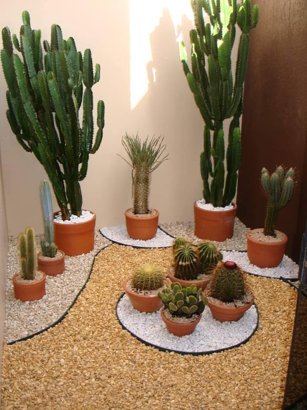 Serviços de Jardinagem e Paisagismo Tomczyk - Jardinagem e Paisagismo em Pinheirinho, Curitiba/PR - Foto 3