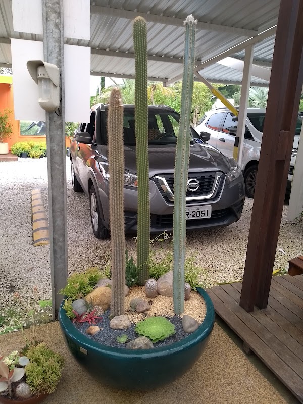 Casa Das Plantas - Jardinagem e Paisagismo em Santa Felicidade, Curitiba/PR - Foto 4