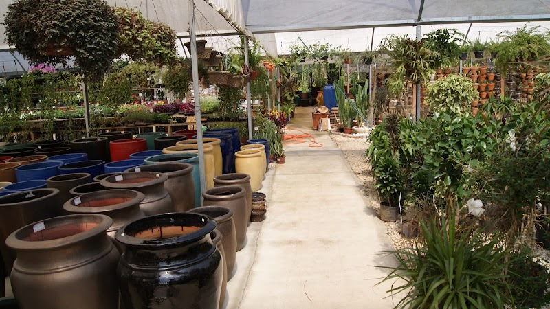 Casa Das Plantas - Jardinagem e Paisagismo em Santa Felicidade, Curitiba/PR - Foto 5