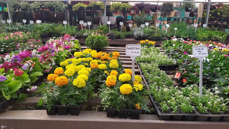 Foto 6 de Casa Das Plantas