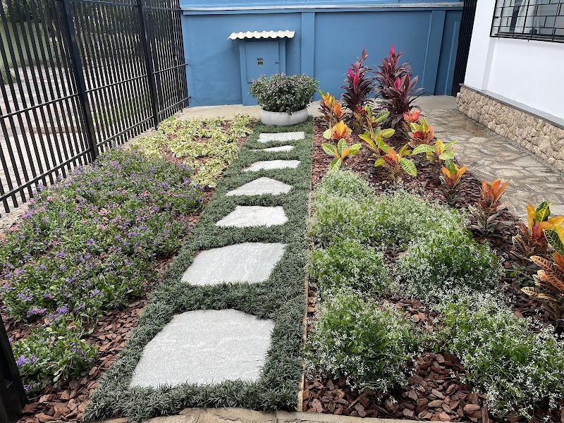 Viva Verde Paisagismo e Jardinagem