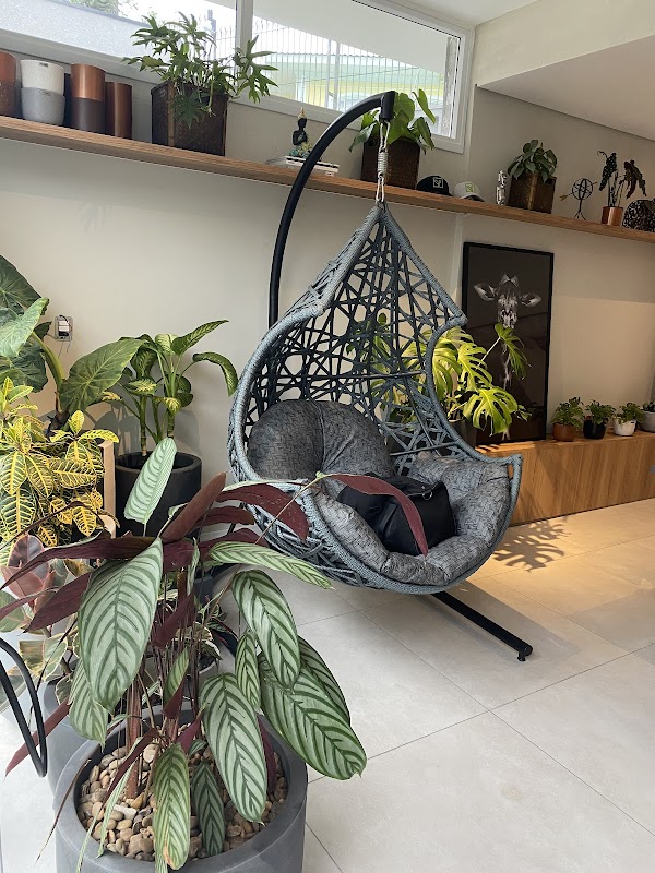 Viva Verde Paisagismo e Jardinagem - Jardinagem e Paisagismo em Seminário, Curitiba/PR - Foto 2