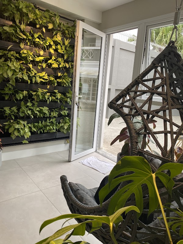 Viva Verde Paisagismo e Jardinagem - Jardinagem e Paisagismo em Seminário, Curitiba/PR - Foto 3