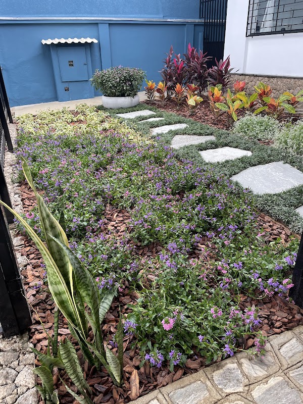 Foto 6 de Viva Verde Paisagismo e Jardinagem