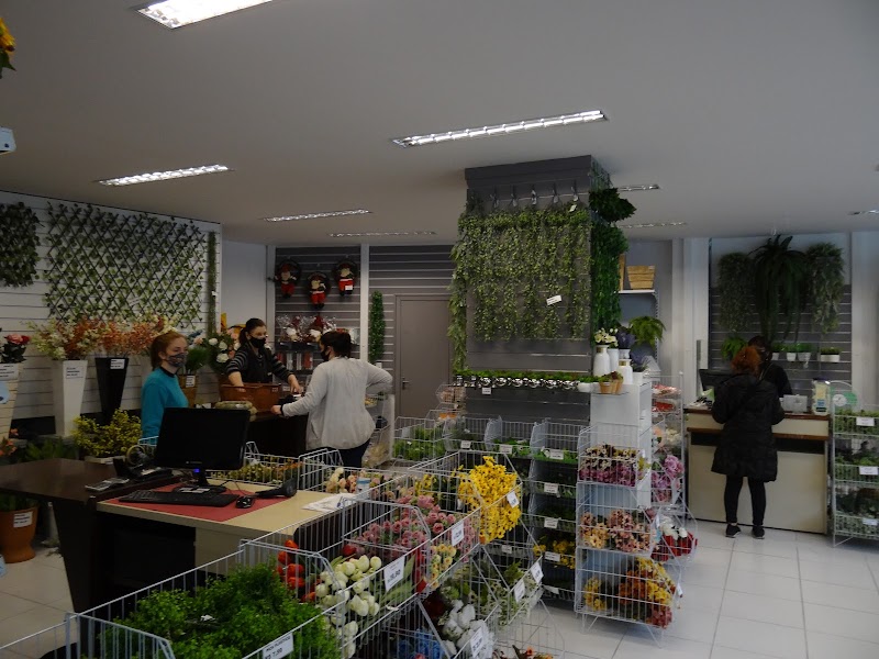 Atacado Beija Flor - Móveis e Decoração em Centro, Curitiba/PR - Foto 2
