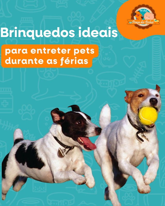 Pet Shop Praça dos Bichos Banho e Tosa - Pet Shop em Centro, Curitiba/PR - Foto 5