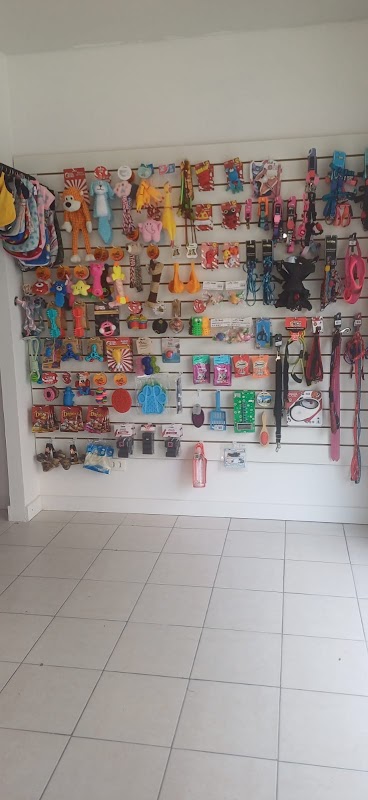 Pet Shop Coisa de Bicho - Pet Shop em São Francisco, Curitiba/PR - Foto 3