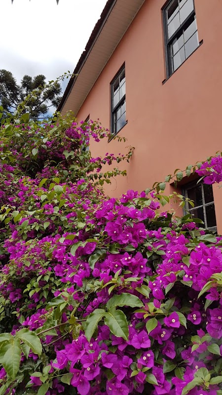 Foto 6 de Pensionato Casa Brasileira